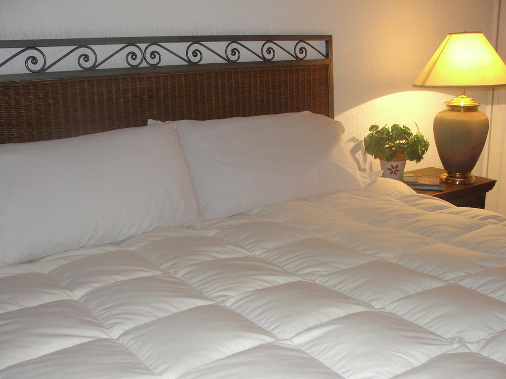 Steinhaus Suites Homero Mexico City Exterior photo